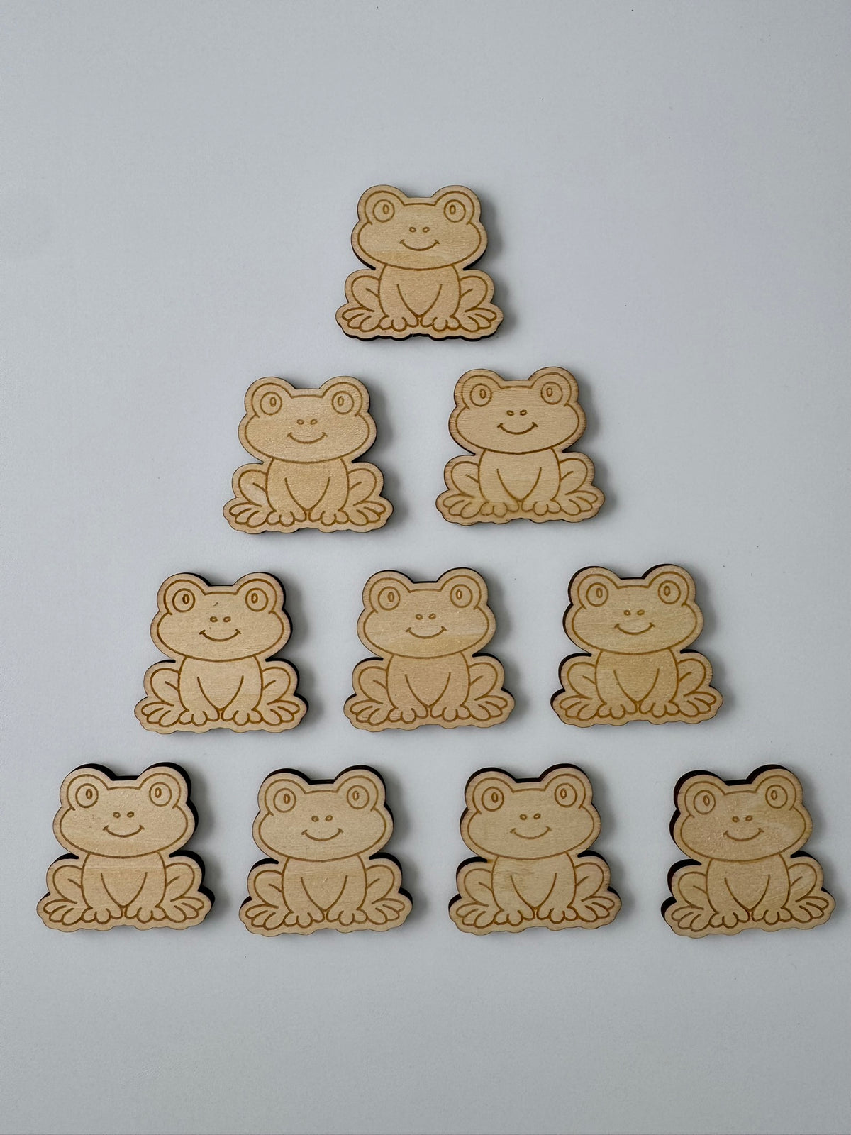 Pond Explorers Wooden Counter Set