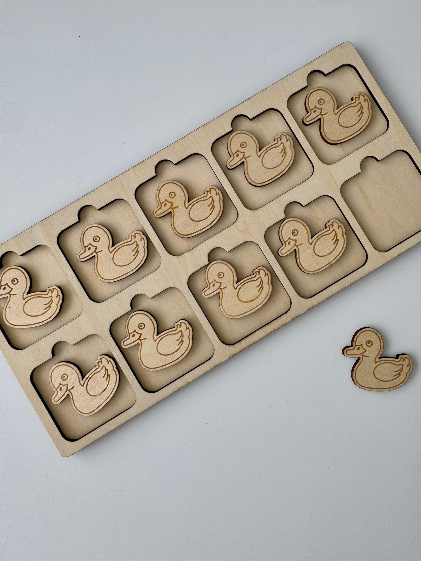 Pond Explorers Wooden Counting Tray